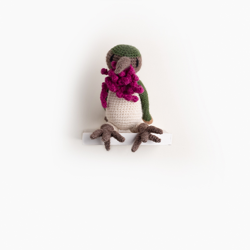 Pedro the Wine-Throated Hummingbird Crochet Pattern